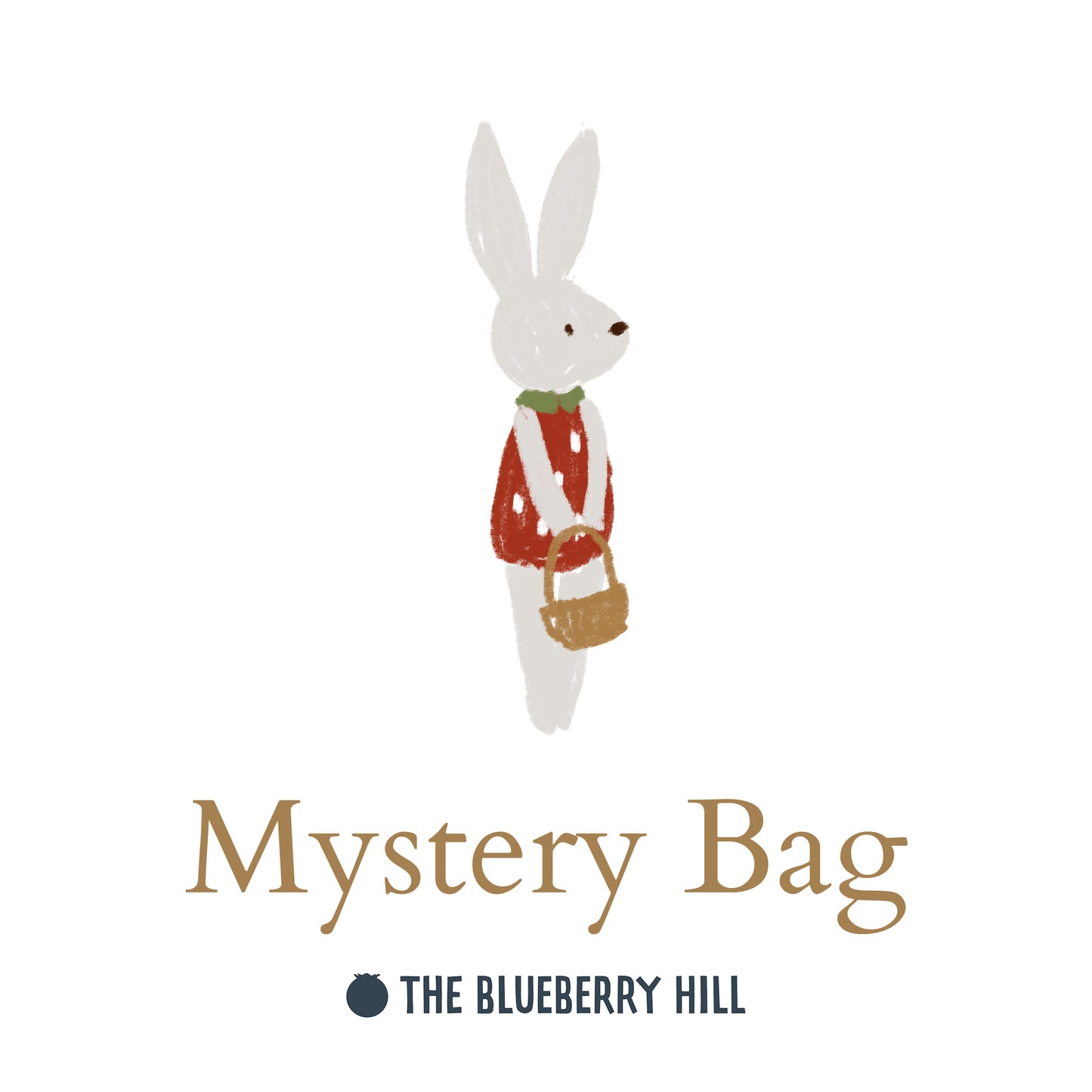 Mystery Bag
