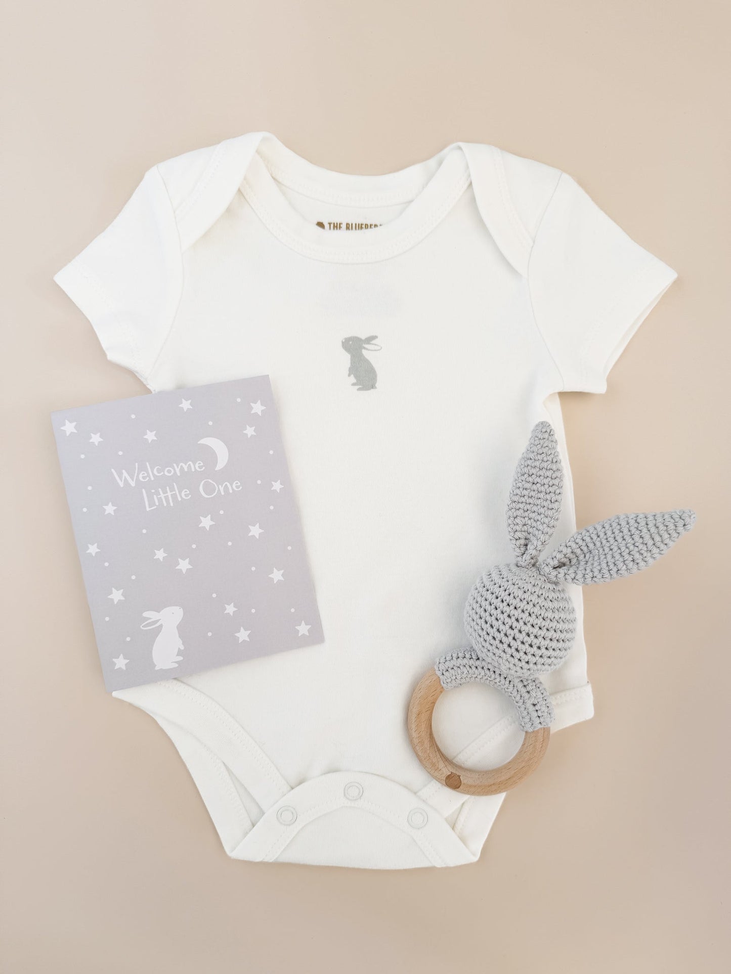 Bunny Onesie, Teether, and Card Gift Set