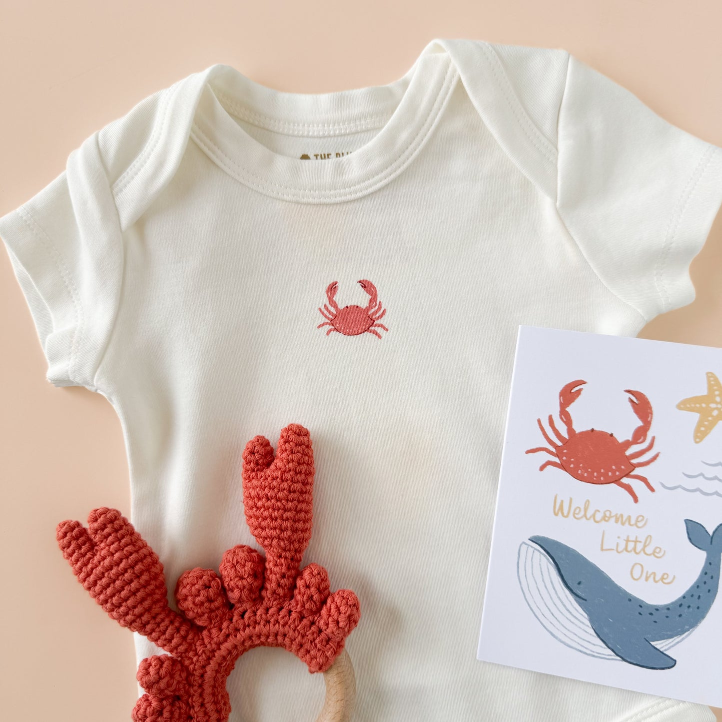 Nautical Crab Onesie, Teether, and Card Gift Set