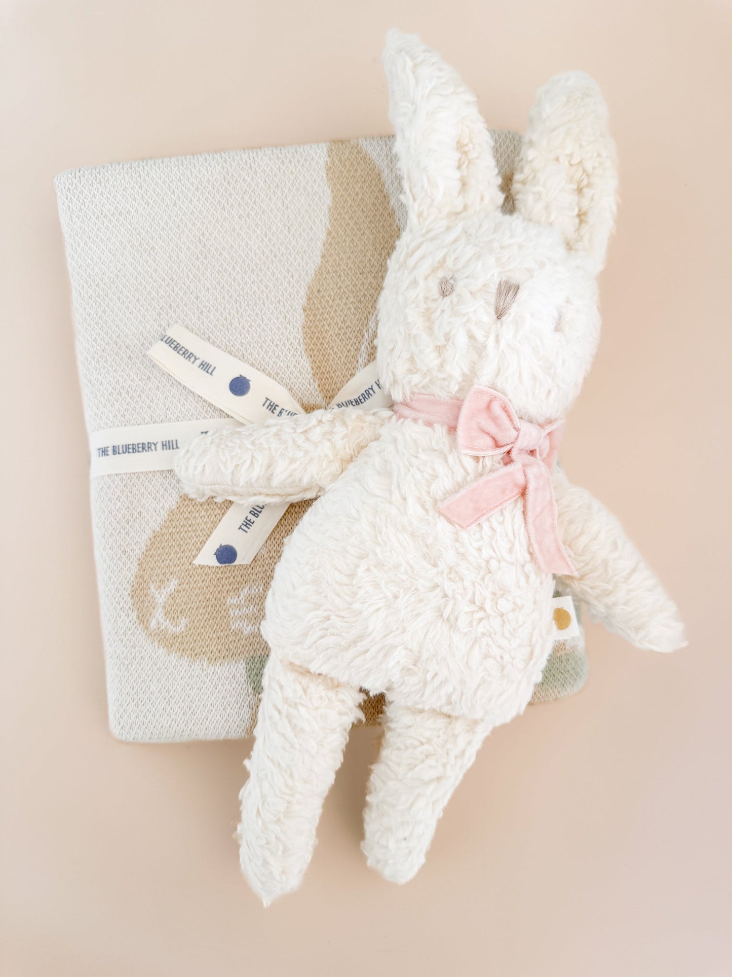 Pastel Bunny Blanket and Plush Toy Blush Gift Set