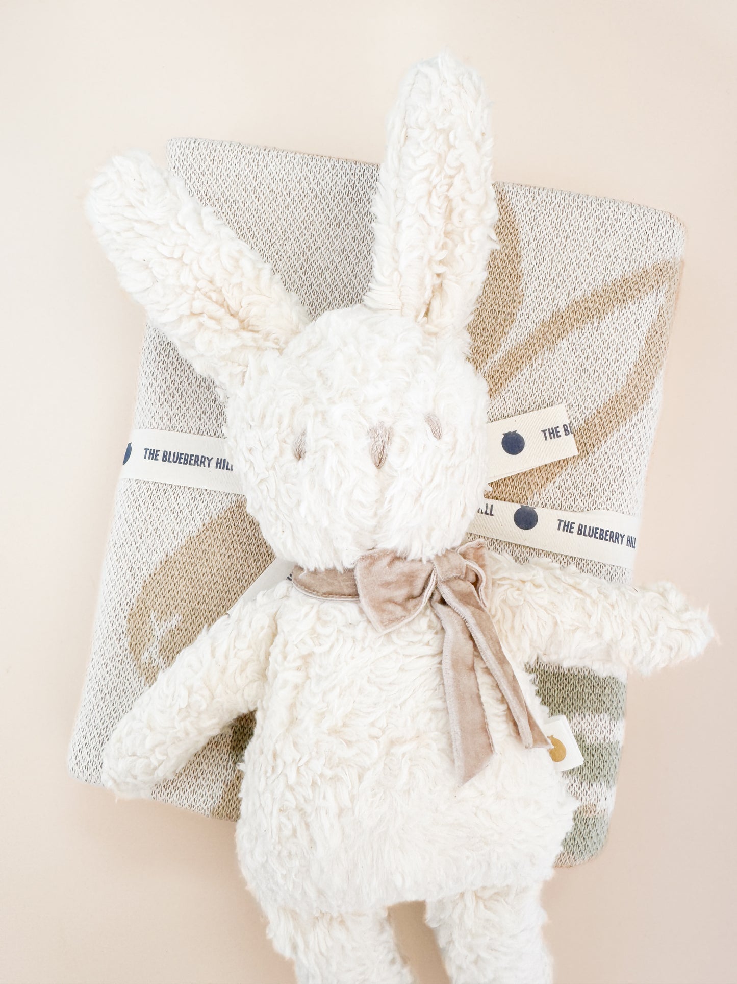 Pastel Bunny Blanket and Plush Toy Taupe Gift Set