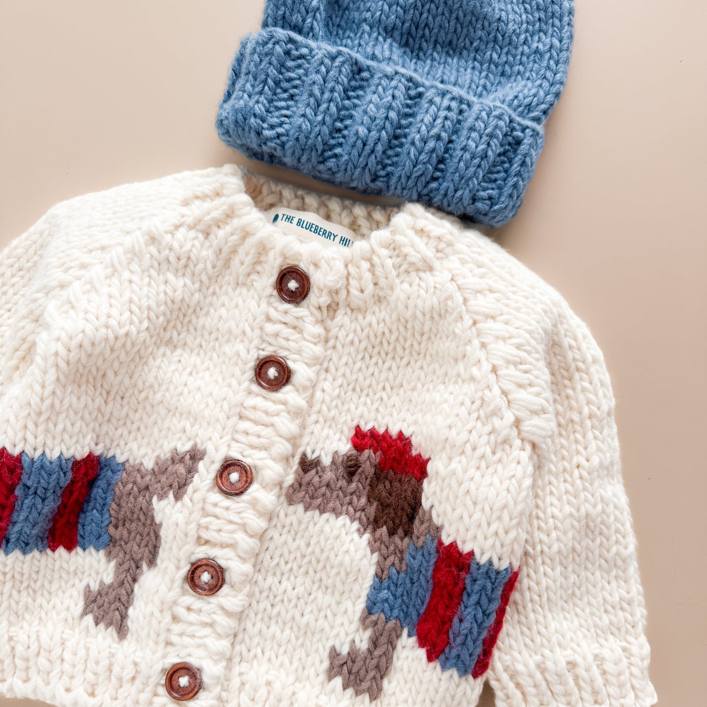 Dachshund Cardigan