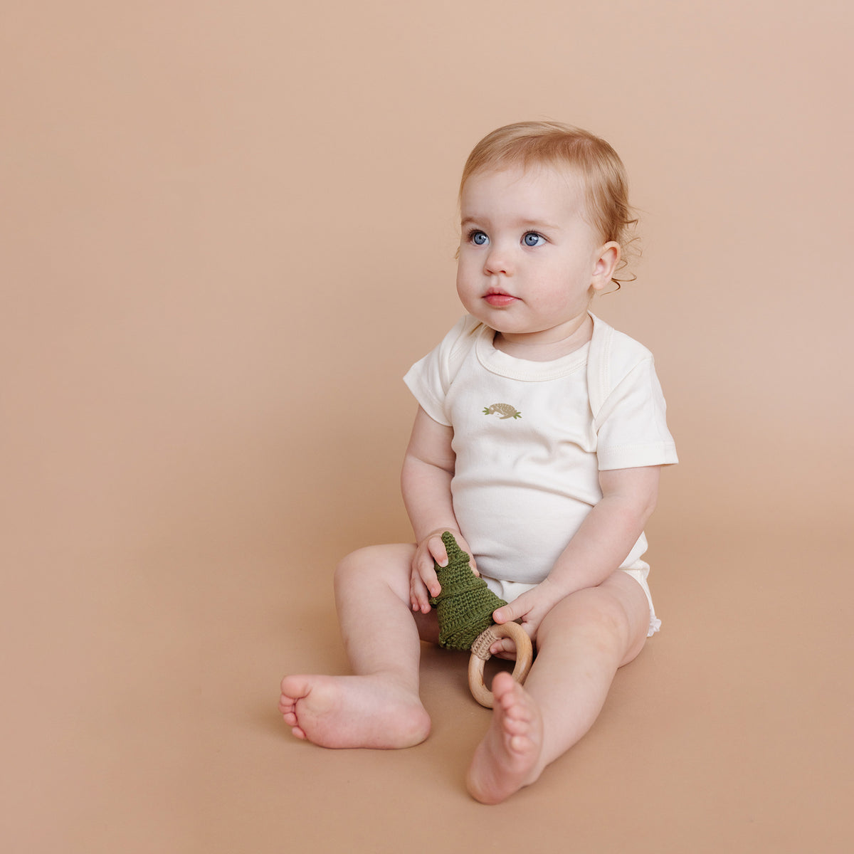 Bab Fall Rattle Baby Rattle Teether Crochet Wooden Ring Tree Fall Outdoor Woods ...